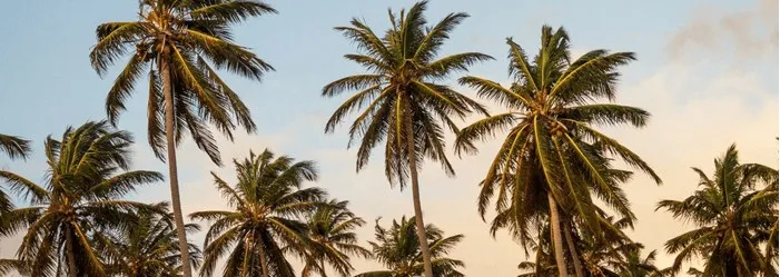 Individuals, families, and communities can all benefit greatly from counseling delivered by the qualified specialists at Awakened Counseling Services in Bonita Springs and Fort Myers FL
